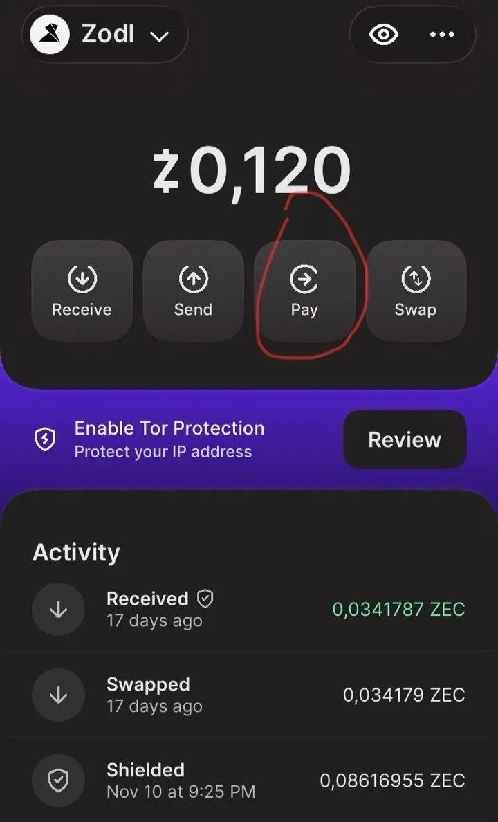 Sezione Pay su Zodl